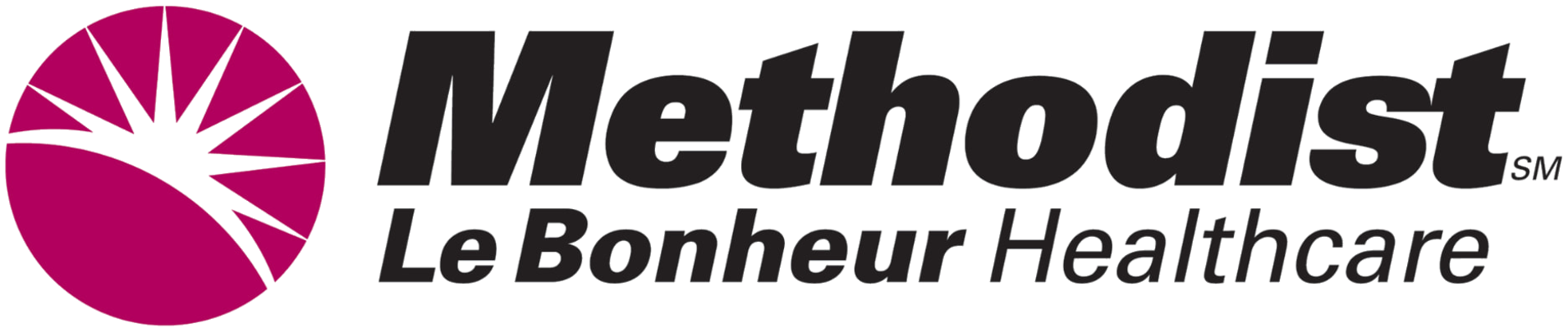 Methodist Le Bonheur Healthcare logo